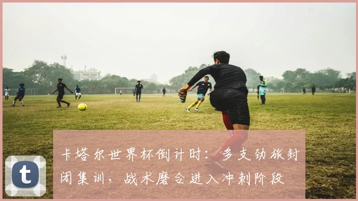 卡塔尔世界杯倒计时：多支劲旅封闭集训，战术磨合进入冲刺阶段