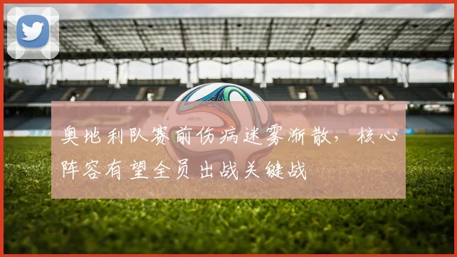 奥地利队赛前伤病迷雾渐散，核心阵容有望全员出战关键战