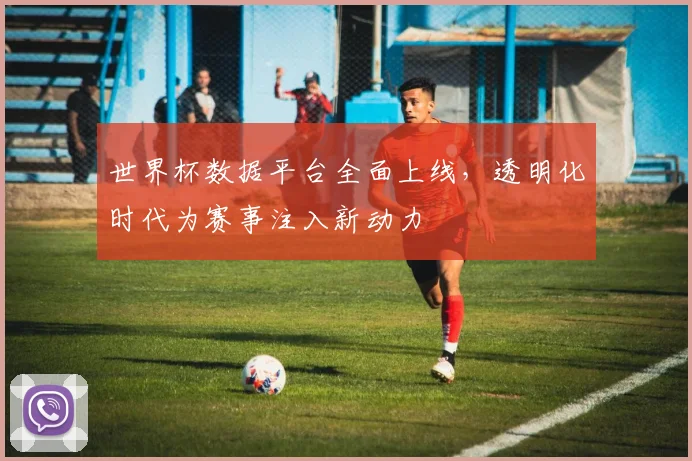 世界杯数据平台全面上线，透明化时代为赛事注入新动力