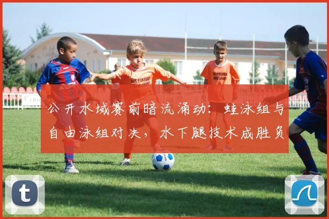 公开水域赛前暗流涌动：蛙泳组与自由泳组对决，水下腿技术成胜负手
